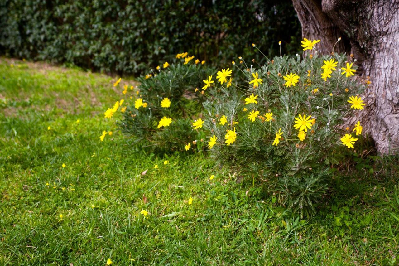 La Casa Di Caterina: Nature,Relax And Private Garden Lefkáda Eksteriør bilde