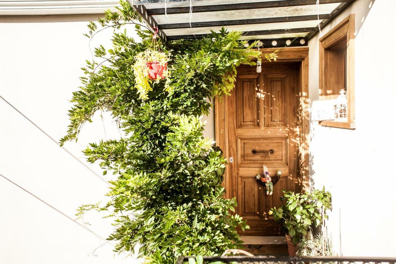 La Casa Di Caterina: Nature,Relax And Private Garden Lefkáda Eksteriør bilde