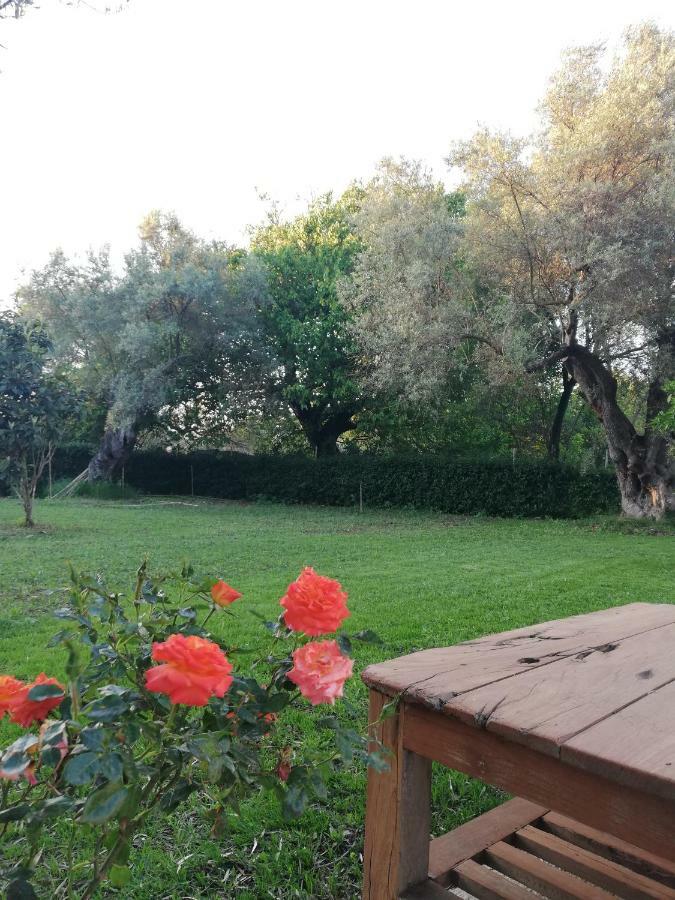 La Casa Di Caterina: Nature,Relax And Private Garden Lefkáda Eksteriør bilde